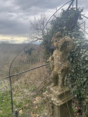 Gutedelgarten