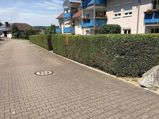 Markgräfler Dienstleistungen