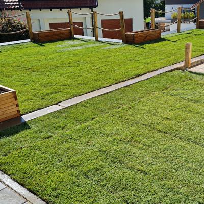 Gartenservice-Motz