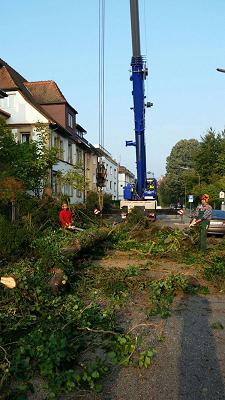 Führe - Service für Freianlagen