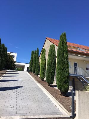 682e0e07937c7