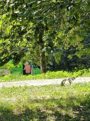 Balduzzi Mario Gartenträume