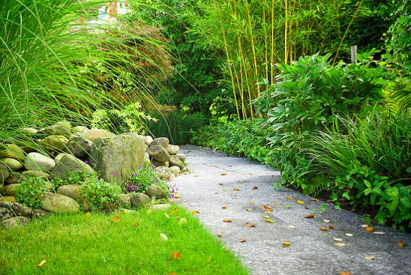 Andreas Wenk Gartenbau & Unterhalt AG