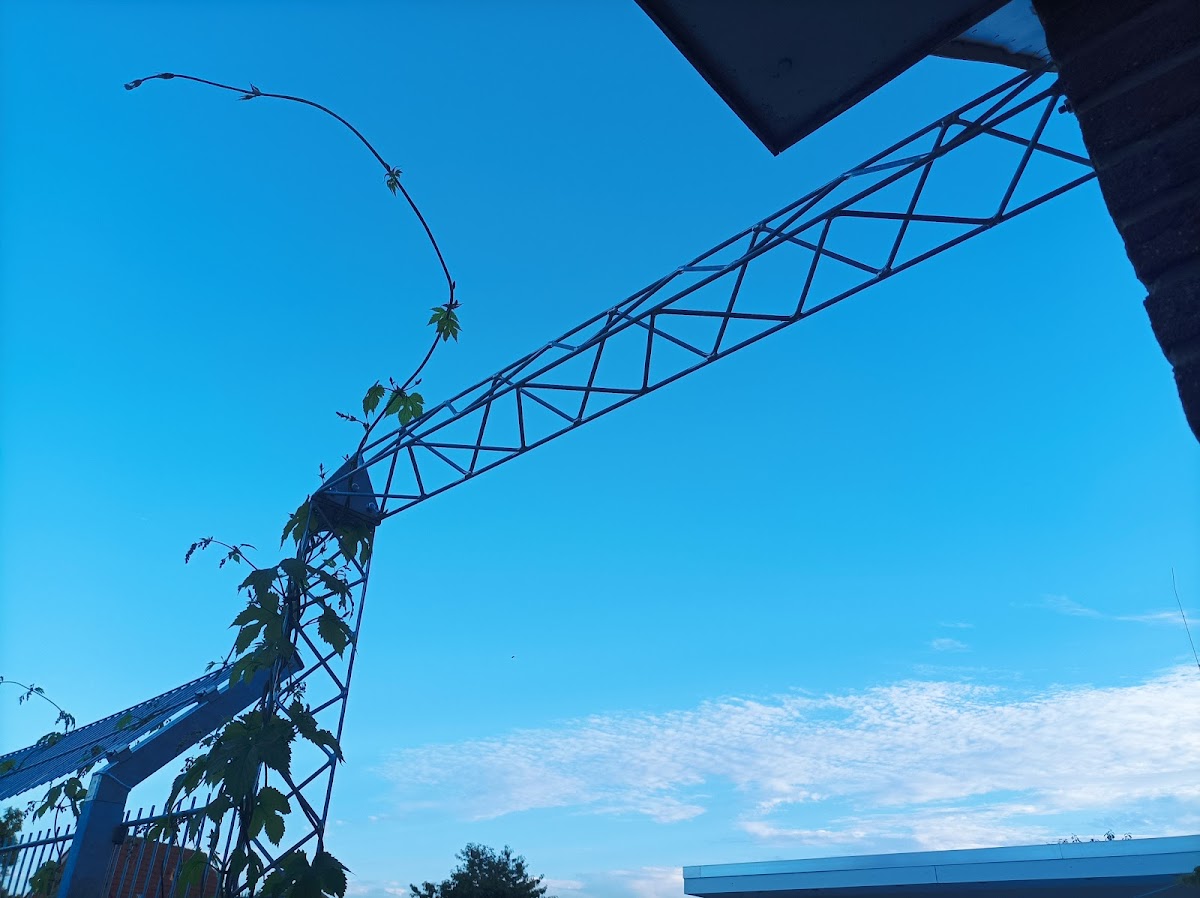 682e0e58e4717