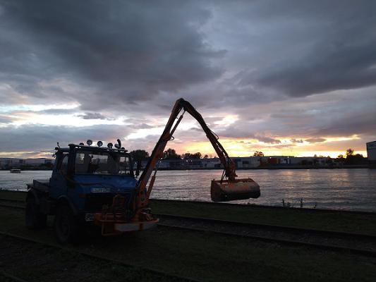 Baumpflege + Brennholz + Landschaftspflege Kandern Lörrach - Forstbetrieb Schleith