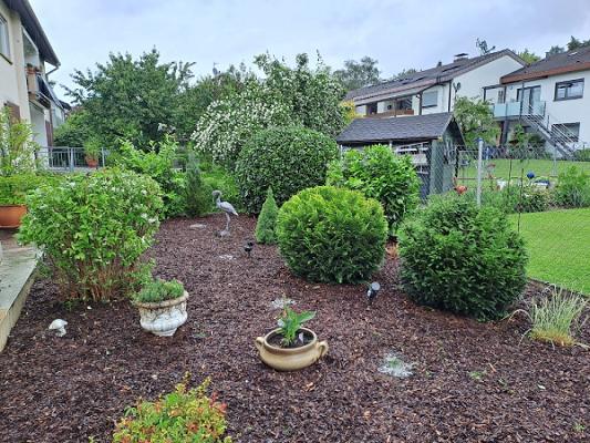 Sempre Verde Gartenbau