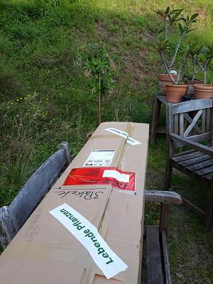 Steinegger Baumschulen und Gartenpark