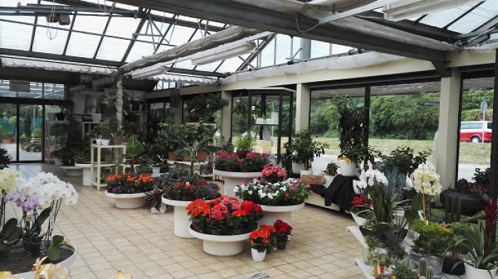 Blumen Schmitt Inh. Andreas Hinn