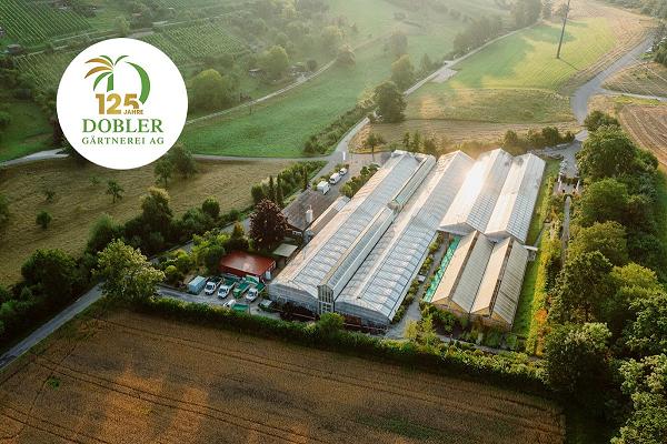 Dobler Gärtnerei AG – Gartenbau