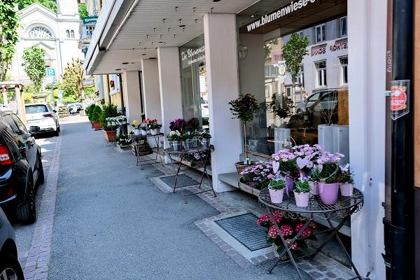 Blumenwiese Eckert (Todtnau)
