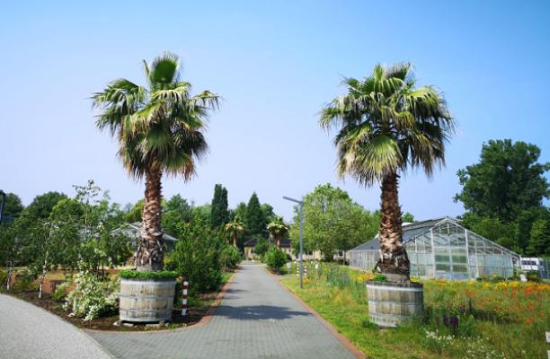 Lehr- und Versuchsanstalt für Gartenbau und Arboristik e.V.