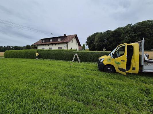 Wolfgang Matt Baum- und Gartenpflege