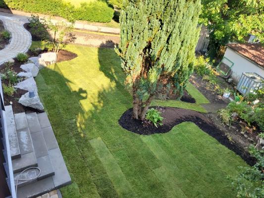 Schäfer Garten- und Landschaftsbau