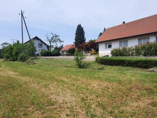 682e0f5488155