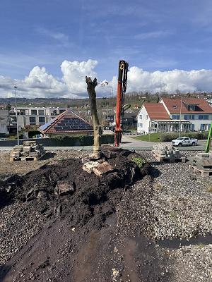 Leuenberger AG Gartenbau und Gartenpflege