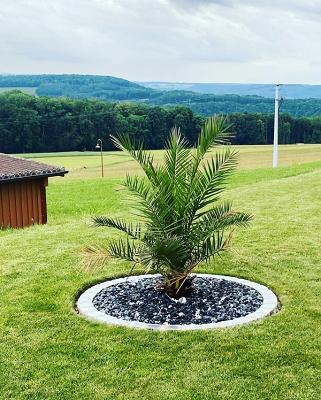 Baschnagel Garten & Landschaftsbau