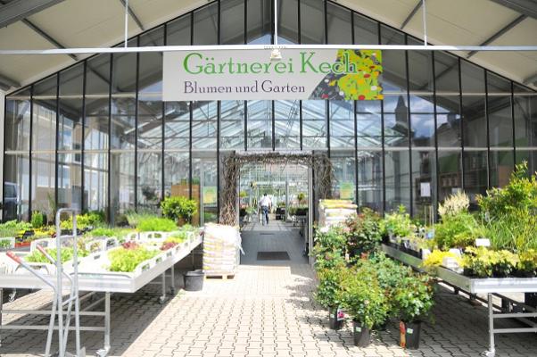 Gärtnerei Kech - Blumen und Garten