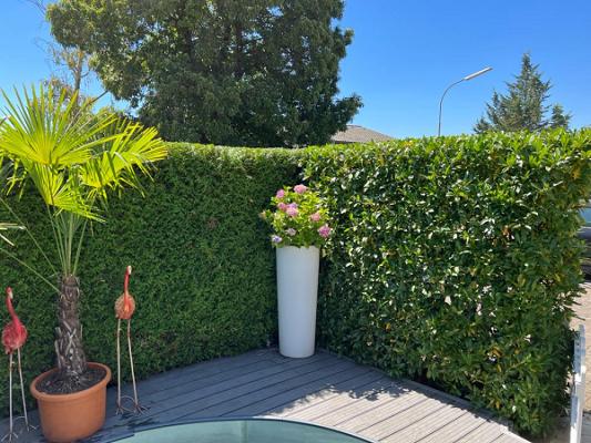 Linde Garten Pflege Lottstetten