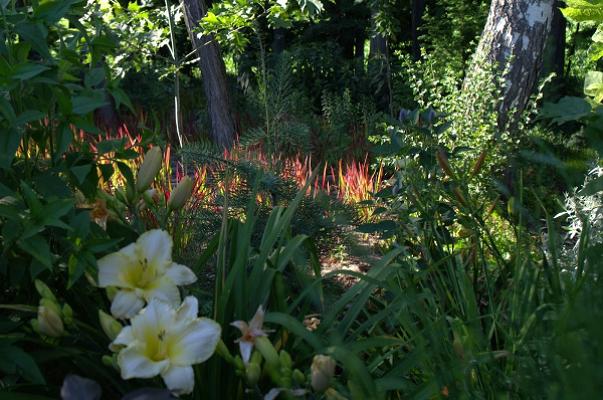 Dapoz Gartengestaltung