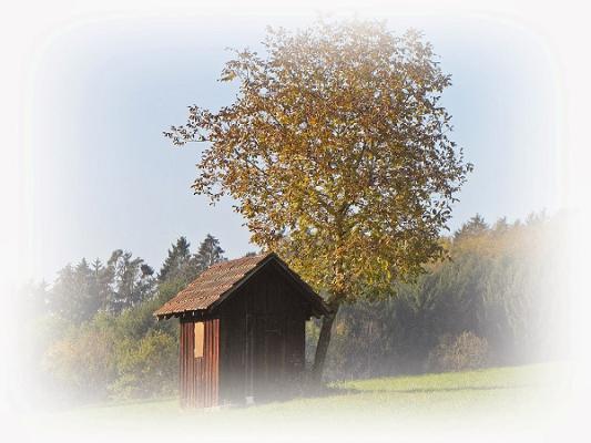 Gartenhilfe für Senioren