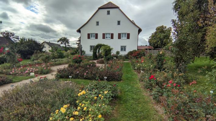 Rosensortimentsgarten