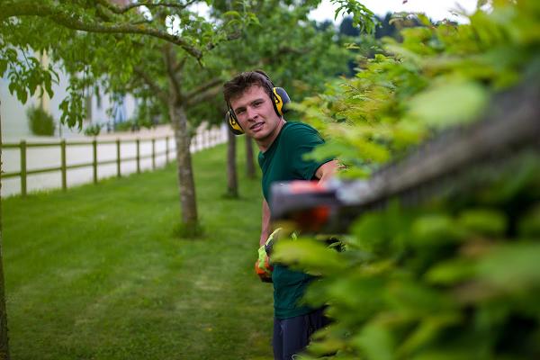 Kienzle - Baumpflege | Garten | Klettertechnik