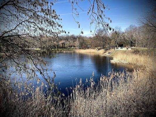 Aussichtspunkt Botanischer Garten/Linauteich