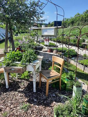 Erika Jantzen - Stauden und Kräuter