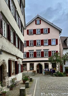 Schneider Landschaftspflege