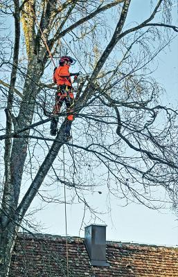 Baum- & Gartenpflege Jürgen Sayer