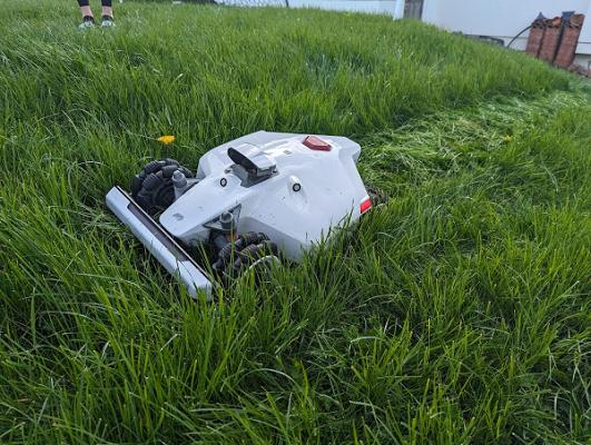 Mähroboter Experte Rottenburg Service & Installation Verkauf