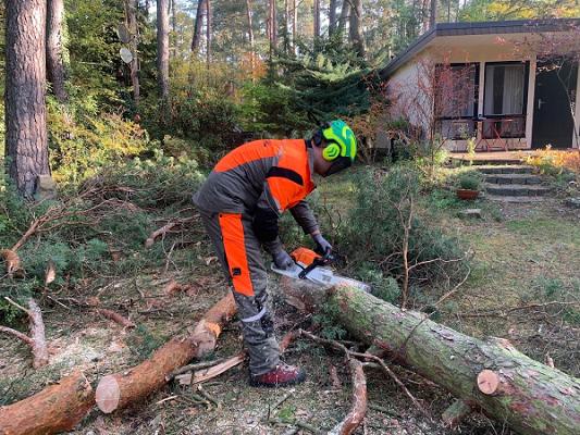 Baumfällungen & Gartenpflege Nutt