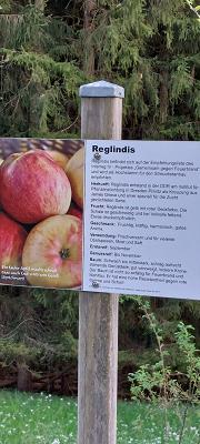 Zillhauser Obstbaumweg