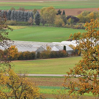 b2 Bio-Gärtnerei GmbH