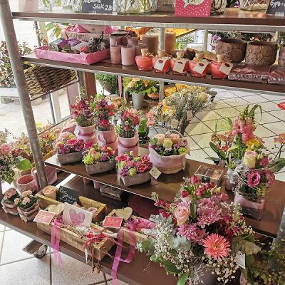 Blumenhaus Deuringer