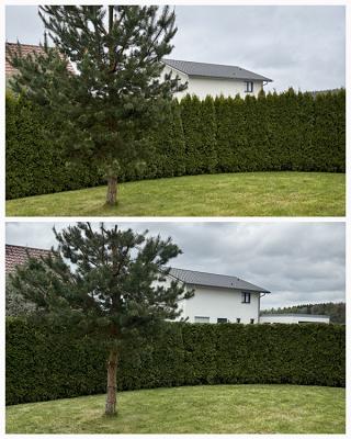 A|E Haus-Gartenservice