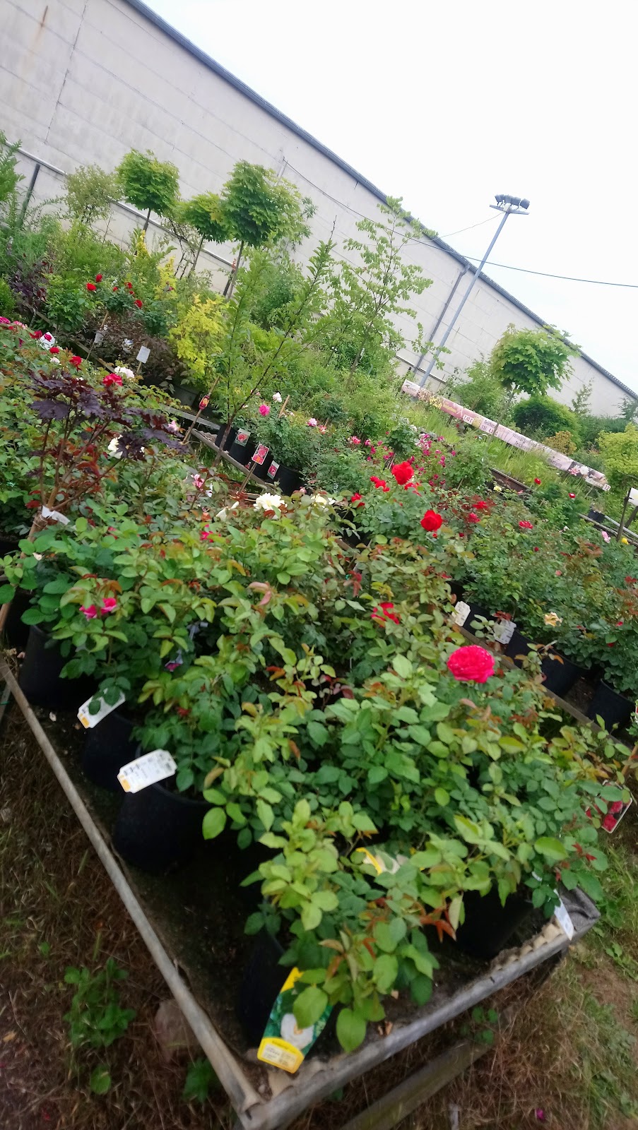 682dd830e471a