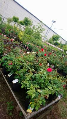682dd830e471a