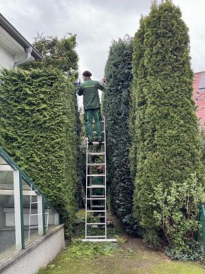 Biermann Garten- und Landschaftsbau GmbH