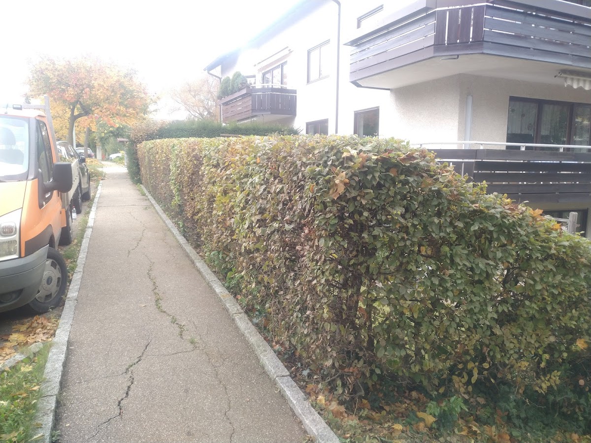 682e132c166b6