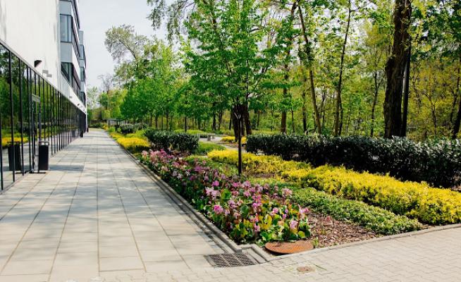Garten- und Landschaftspflege Hähnel