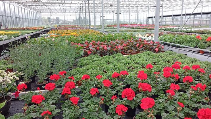 Fontana Gartenbau GmbH