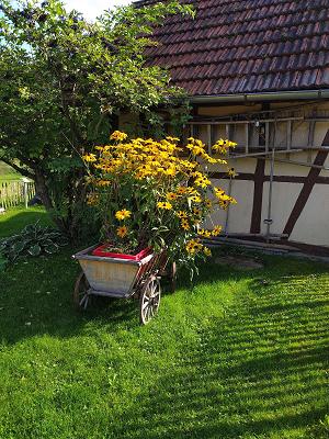 Lehr- und Schaugarten Obst- und Gartenbauverein Bad Urach e.V.