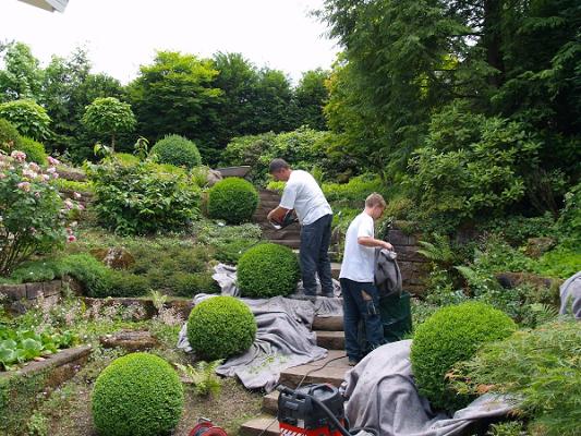 Grün- und Landschaftspflege Garten-Moser GmbH u. Co. KG