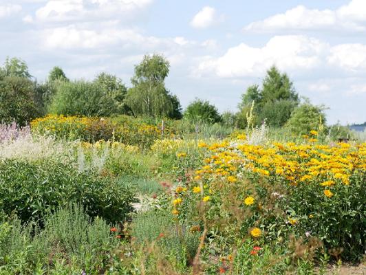 ALB-GOLD Naturgarten