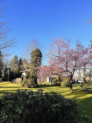 Gartenpflege Bodensee