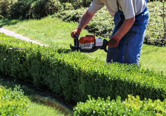 Elbarim Morina - Gartenbau & Pflasterarbeiten