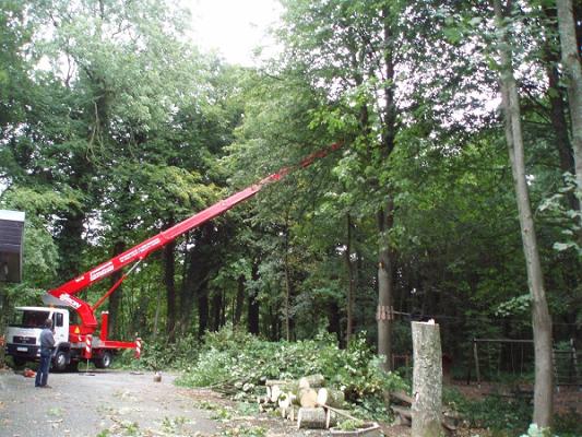 Baumdienste Baumpflege Gartendienste Heckenschnitt MORITZ