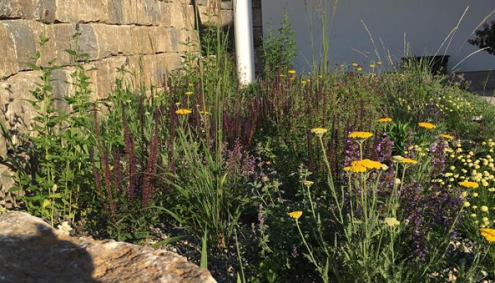 GARTENREICH I Gartengestaltung und Gartenpflege