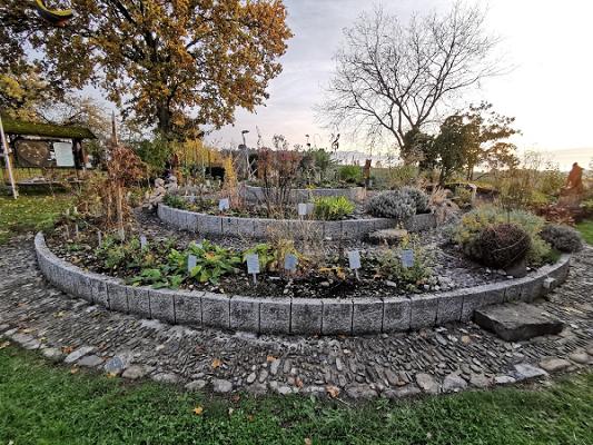 Heilkräuter Lehrgarten
